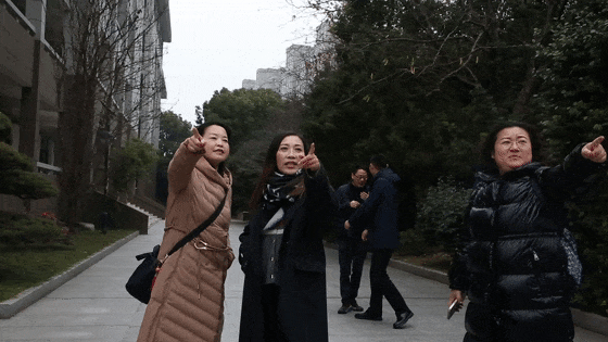 e166f439ad59419b849dd49e3ce16aca.gif